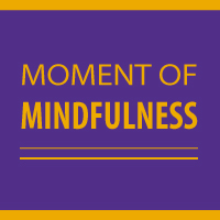 Moment of Mindfulness
