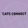 'Cats connect